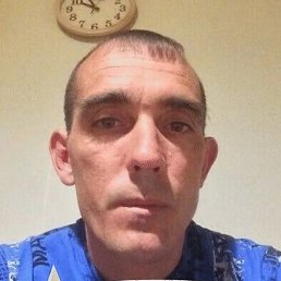 �������, ������, 41 ���