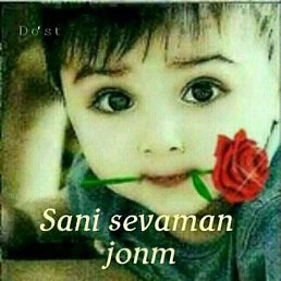 ���� ����, �����, 53 ���� - ��������� 15 ���� 2023