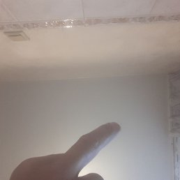 , , 41 