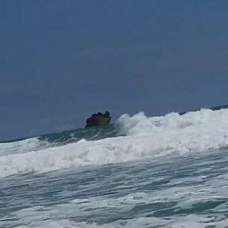 ���� Bejo, ��������, 37 ��� - ��������� 23 ������ 2023