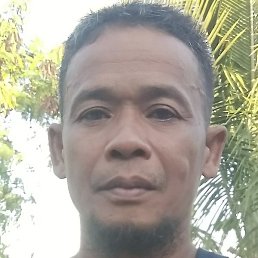 Denny Antting, , 24 