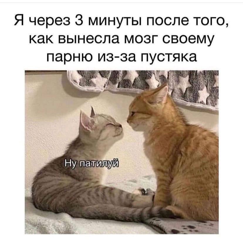    - 23  2023  03:41