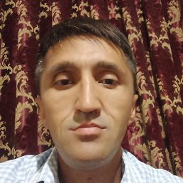 ��������, �������, 42 ����