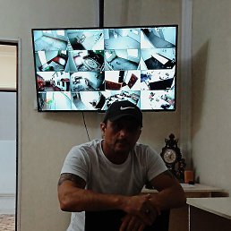 ������, �������, 49 ���