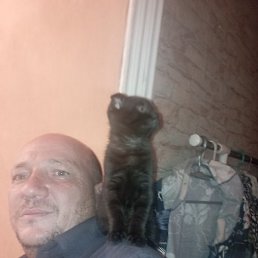 ������, �������, 43 ����