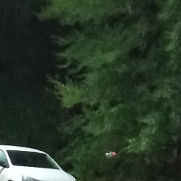 ������, ������, 35 ���