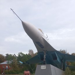 ������, ������, 41 ���