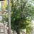 ���� Vivek, ������, 26 ��� - ��������� 6 �������� 2023