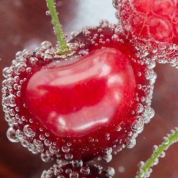 ������, ������, 52 ����