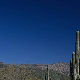 ����, ������, 25 ���