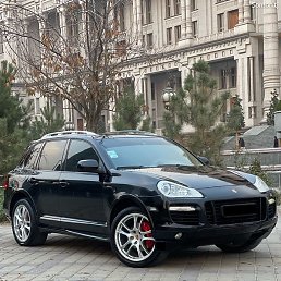 ������, ����������, 31 ���