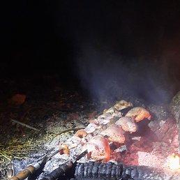 ���, ������, 51 ���