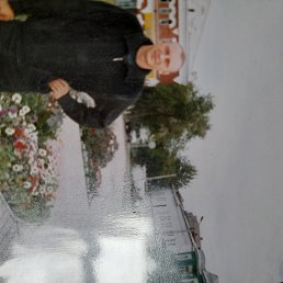 ����, ����������, 49 ���