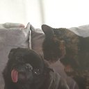 ���� ����, ���������, 53 ���� - ��������� 3 ����� 2023