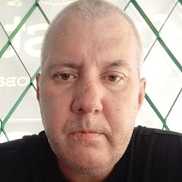 �����, ������, 46 ���