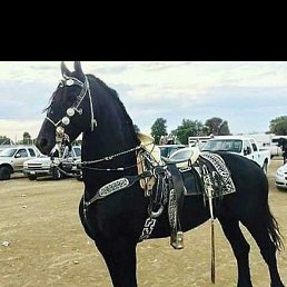 ����, ����������, 30 ���