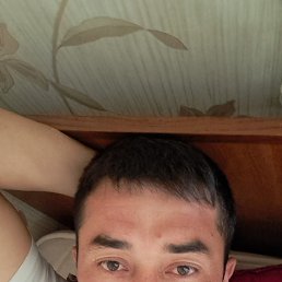 ���� �����, ������, 36 ��� - ��������� 7 ������� 2023