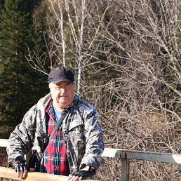 ���� ������, ��������, 67 ��� - ��������� 12 ���� 2023