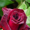 ���� ������, ����, 52 ���� - ��������� 13 ������� 2023 � ������ ���� ����������