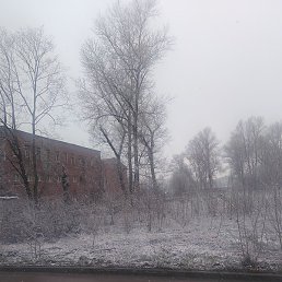 Dsgf, �����-���������, 55 ���