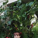 ���� �����, ����������, 46 ��� - ��������� 9 ������� 2023 � ������ ���� ����������