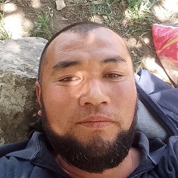 �����, �����-���������, 41 ���