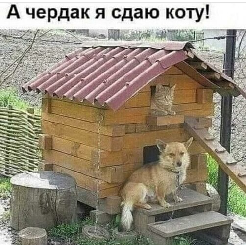  - 1  2023  16:16