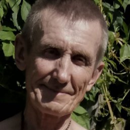 ������, �����, 66 ���