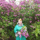 ���� �����, �����, 66 ��� - ��������� 22 ��� 2023 � ������ ���� ����������