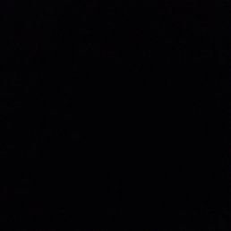 ���� Nika, �������, 29 ��� - ��������� 30 �������� 2023