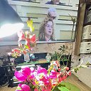 ���� ������, �����, 42 ���� - ��������� 14 ������ 2023 � ������ ������ ��������