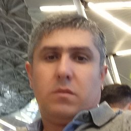 ���, ������, 43 ����