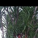 ���� �����, ����������� - ��������� 1 ������� 2023 � ������ �Avsallar 2014�