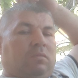 ������, �����, 42 ����