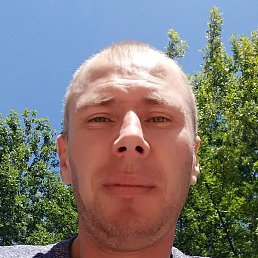 ������, �������, 41 ���