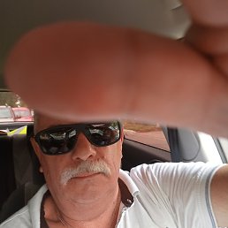 ����, �������, 65 ���