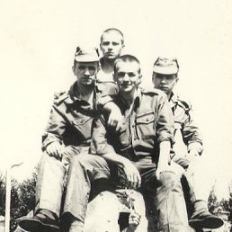 ���� �������, ������, 54 ���� - ��������� 3 ��� 2023