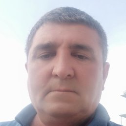 Habil, ���������, 59 ���
