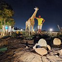 ���� �������, ��������� - ��������� 25 �������� 2023 � ������ ���� ����������
