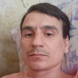 ������, ������, 37 ���