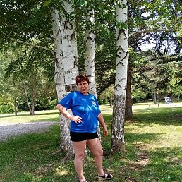 ����, �������, 44 ����