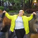  , --, 48  -  17  2023    