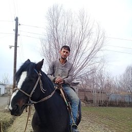 �������, �����������, 36 ���