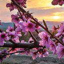 ���� �������, ����, 31 ��� - ��������� 12 ���� 2023 � ������ ���� ����������