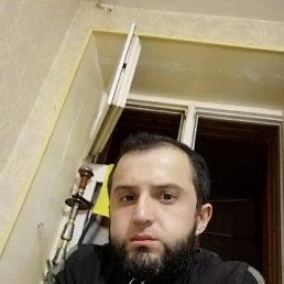 Lion, 31, 