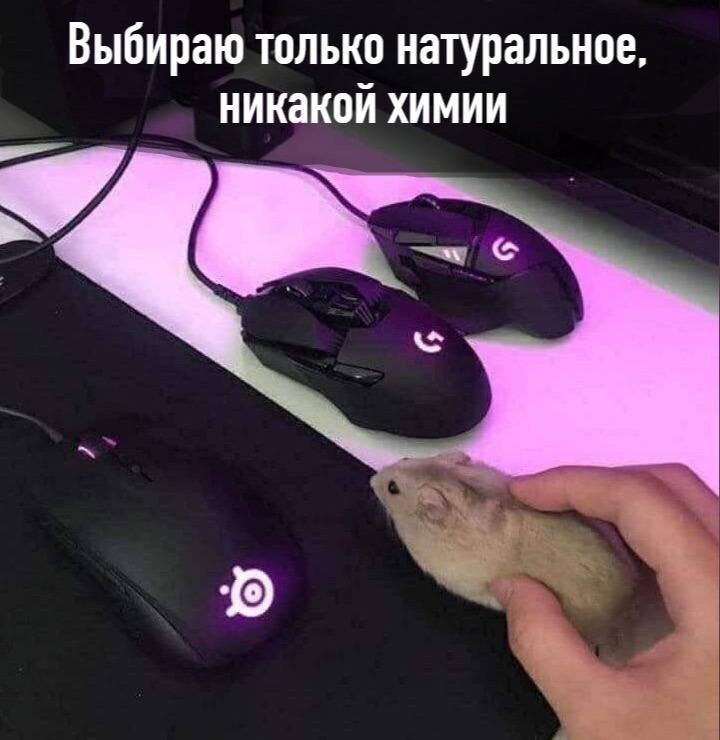    - 11  2023  21:34