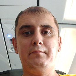 ������, �����, 38 ���