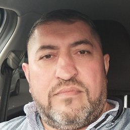 ����, �����-���������, 50 ���