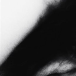 ����, ���������, 41 ���