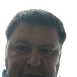 �����, ������, 36 ���